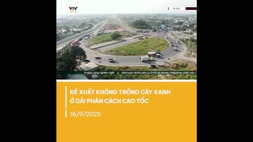 Cục Cảnh sát giao thông đề xuất không trồng cây xanh ở dải phân cách cao tốc | VTV CẦN THƠ