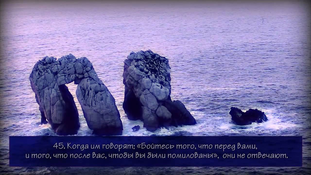 Mansoor Mohiddine.Сура 