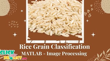 Matlab Image Processing - Rice Grain Classification Using Multi Class SVM - ClickMyProject