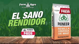 #SemillasdeMaíz #Pioneer - Máximo Rendimiento