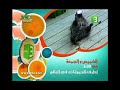 MBC3 PROMO OCTOBER 2008 THE PLANET S FUNNIEST ANIMALS THE REMEMBER 2000S 