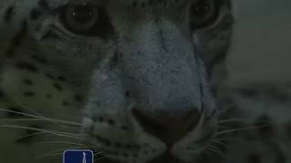 Most Beautiful Azan In The World Very Emotional Pro-Muslim