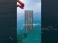 墓じまいと仏壇処分そして海洋散骨