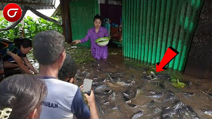 BANJIR MEMBAWA BERKAH! Ribuan Ikan Tiba2 Masuk Ke Dalam Rumah Saat Banjir