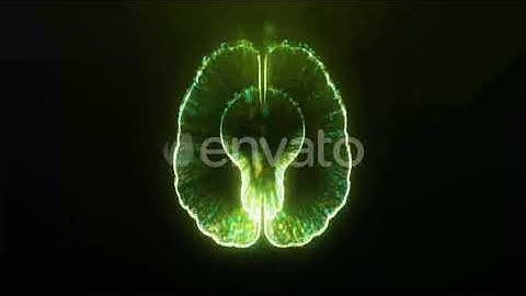 Brain with Idea Bulb Creative Background | Motion Graphics - Envato elements