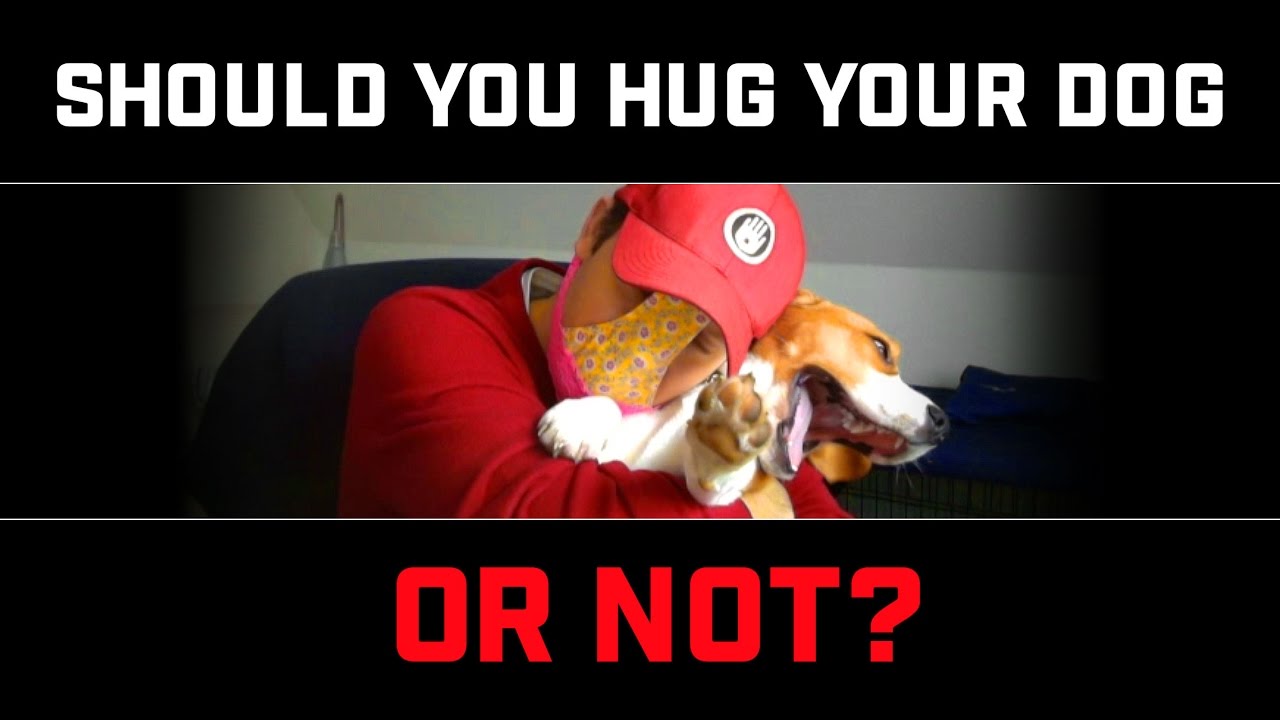 Should You Hug Your Dog?