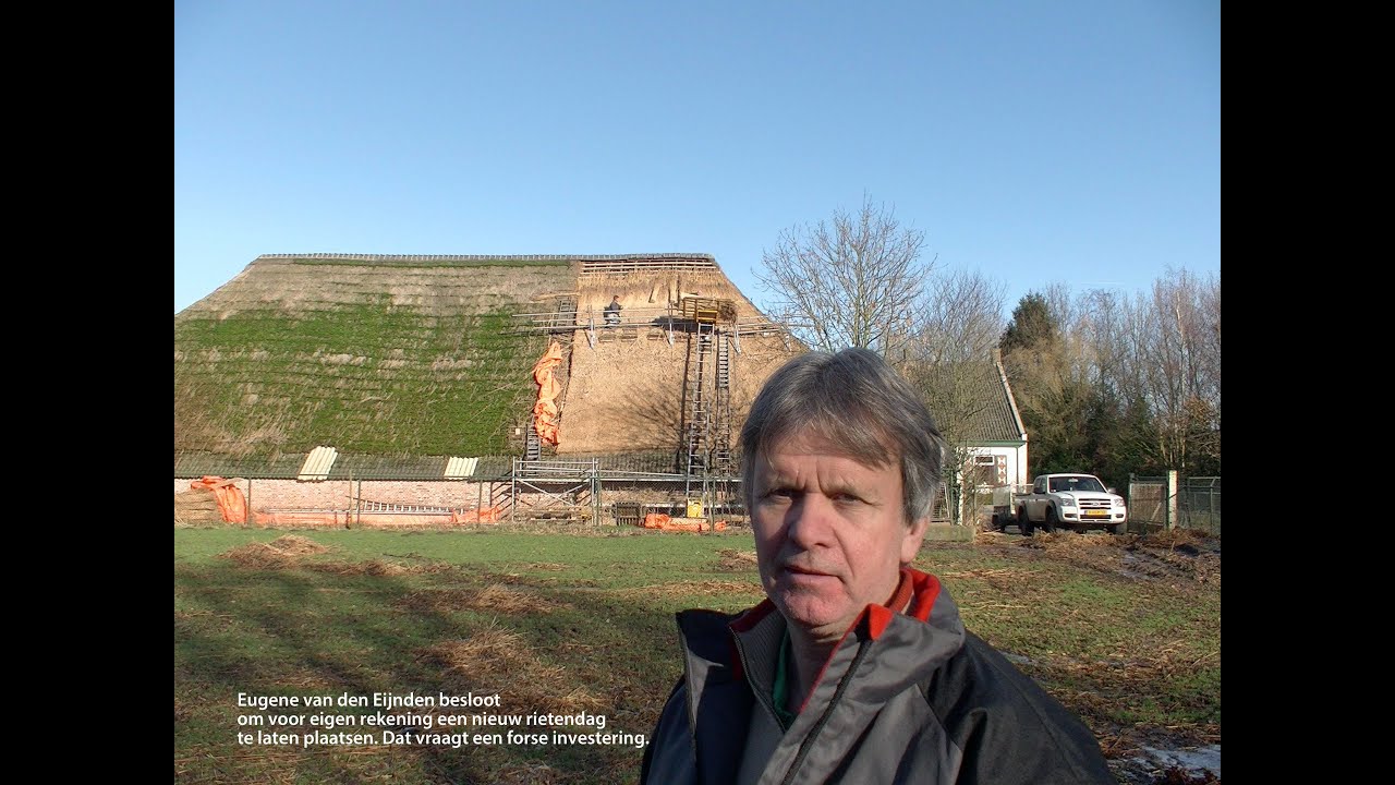 Nieuw rieten dak voor boerderij de Bijenhof in Halsteren