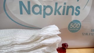 Unboxin Doxin - Great Value Napkins 500 Count