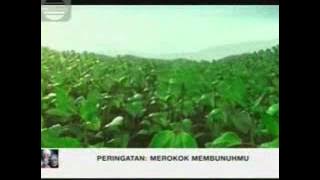 Download lagu Indosiar La Menthol 22 53 (24/03)