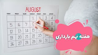 هفته نهم بارداری