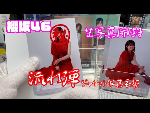 櫻坂46生写真開封#203