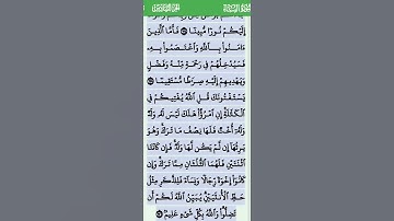 الآية 176 من سورة النساء تلاوة خاشعة