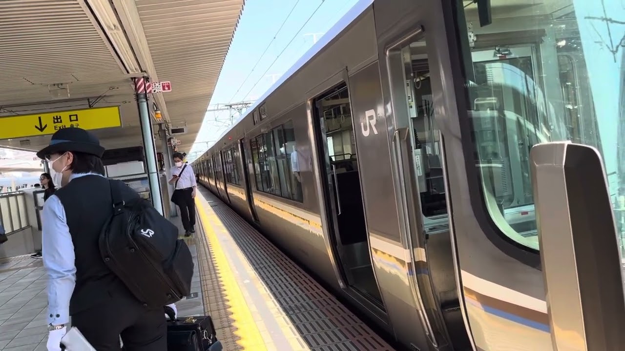 貨物列車を待避⁉️223系2000番台W39編成普通網干行き姫路駅到着発車。