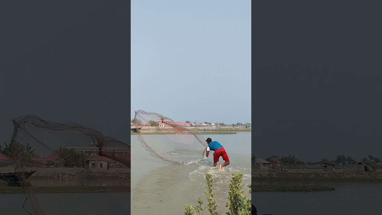 big fish catch by cast net fishing in river side 
