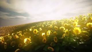 Beautiful flowers garden memes template