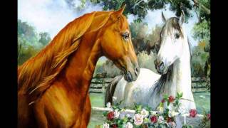 Siempre Te Amare-Kuec