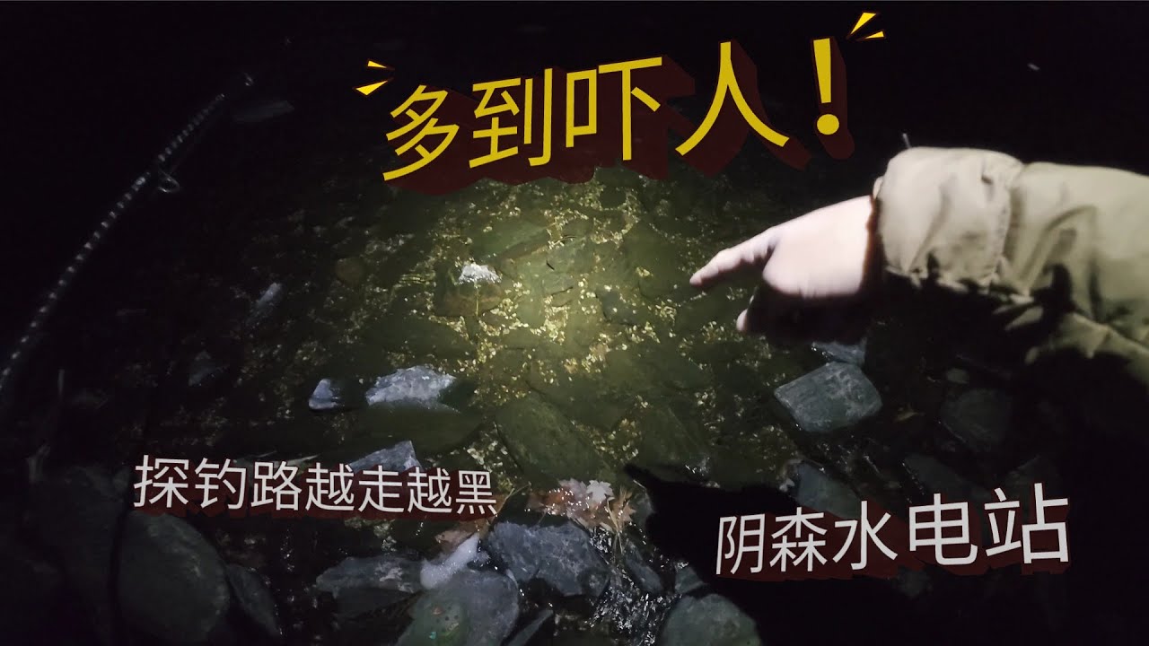 野林深处作钓阴森水电站 | 护森消防路越走越黑，探钓变探险