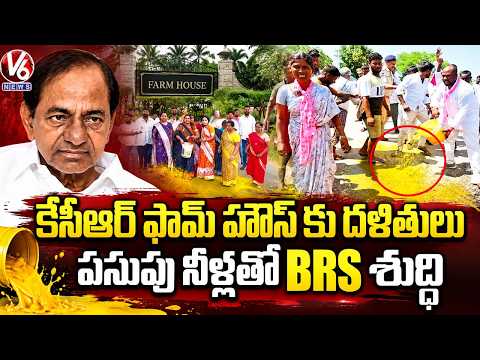 BRS Leaders Cleaned Near KCR farmhouse Road With Turmeric Water Where Dalits Held Protest | V6 News - V6NEWSTELUGU