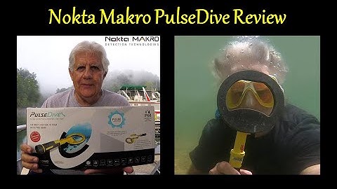 Nokta Makro PulseDive Review