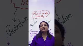 Mucus in stomach | #biology #science #kkoutseducate #kkouts