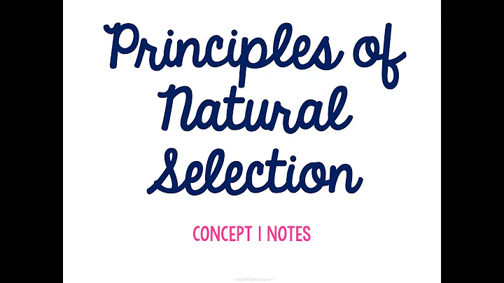 Unit 6 Evolution Concept 1 Notes *UPDATED*