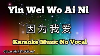 Yin Wei Wo Ai Ni 因为我爱 karaoke no vocal