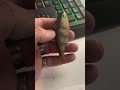 Camo green perch . #custompaintedlures #jaysinkfishn #fishingbait #fishinglure