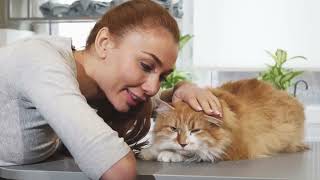 Why Your Cat Won’t Stop Checking In on You