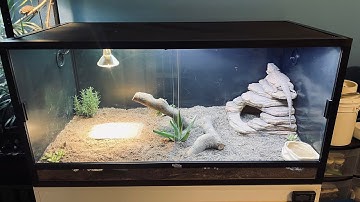 DubiaRoaches.com 4x2x2 120 Gallon Reptile Enclosure Assembly