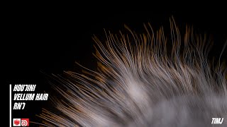 Houdini - Vellum Hair X Motion Design