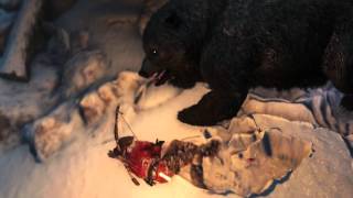 Rise of The Tomb Raider - Echoes of The Past: Bear 1st Encounter Combat Dodge & Attack Tutorial XBO