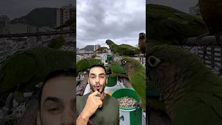 🚨Comunicado Importante!🚨