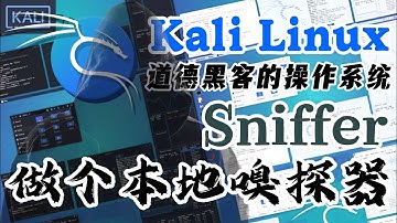 Kali Linux 道德黑客的操作系统 - Python 3 - Scapy 做个本地嗅探器 Sniffer