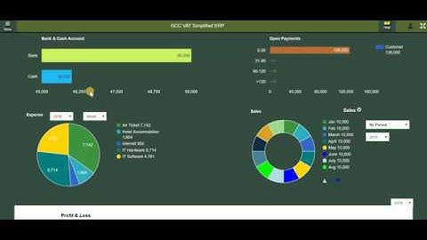 GCC VAT PRO: ERP Simplified - Master Data Training