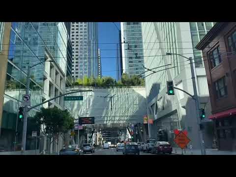 在路上-左左和大鹏鸟