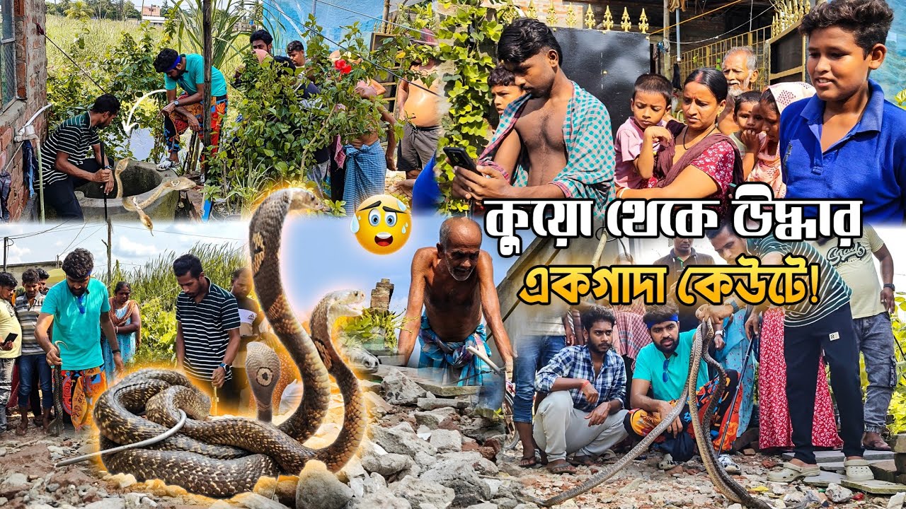 দুশো কিমি দূরে গিয়ে প্রথমবার কেউটে সাপ বাঁচালাম! কুয়ো থেকে কেউটে উদ্ধার! Dangerous Rescue #snake