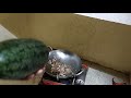 Cooking ASMR ឆាសំបកឪឡឹក 🍉