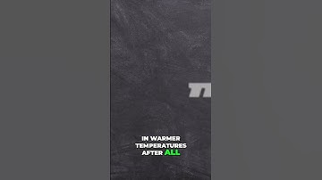 Challenger Disaster: The Chilling Warning Signs Ignored Before Launch