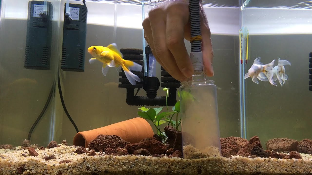 How To Make Gravel Washer Easy Homemade Gravel Cleaner Ev Yap m how-to-make-gravel-washer-easy-homemade-gravel-cleaner-ev-yap-m