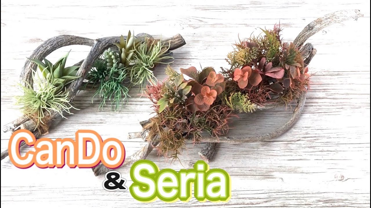 Cando Seria造花 キャンドゥに流木 セリアの多肉植物を使ったカッコいいアレンジ 100均diy Youtube