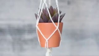 Learn how to make adorable macrame plant holders in a few easy steps using scrap yarn! If you can tie a knot, you can make this 
