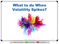 What to do When Volatility Spikes?