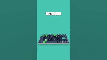Turtle 𓆉 | Unicode Shortcut Key (Code 13189) | #computer #Symbol #typing #keyboard #tricks