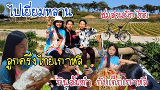 EP.329 |ไปเยี่ยมหลาน ลูกครึ่งไทยเกาหลี กินส้มตำกับเด็กเกาหลี เเละพาชมสวนผักไทยของพี่