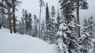 Powderhorn, My favorite tree run at Winter Park, Colorado