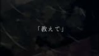black sheep and tender world