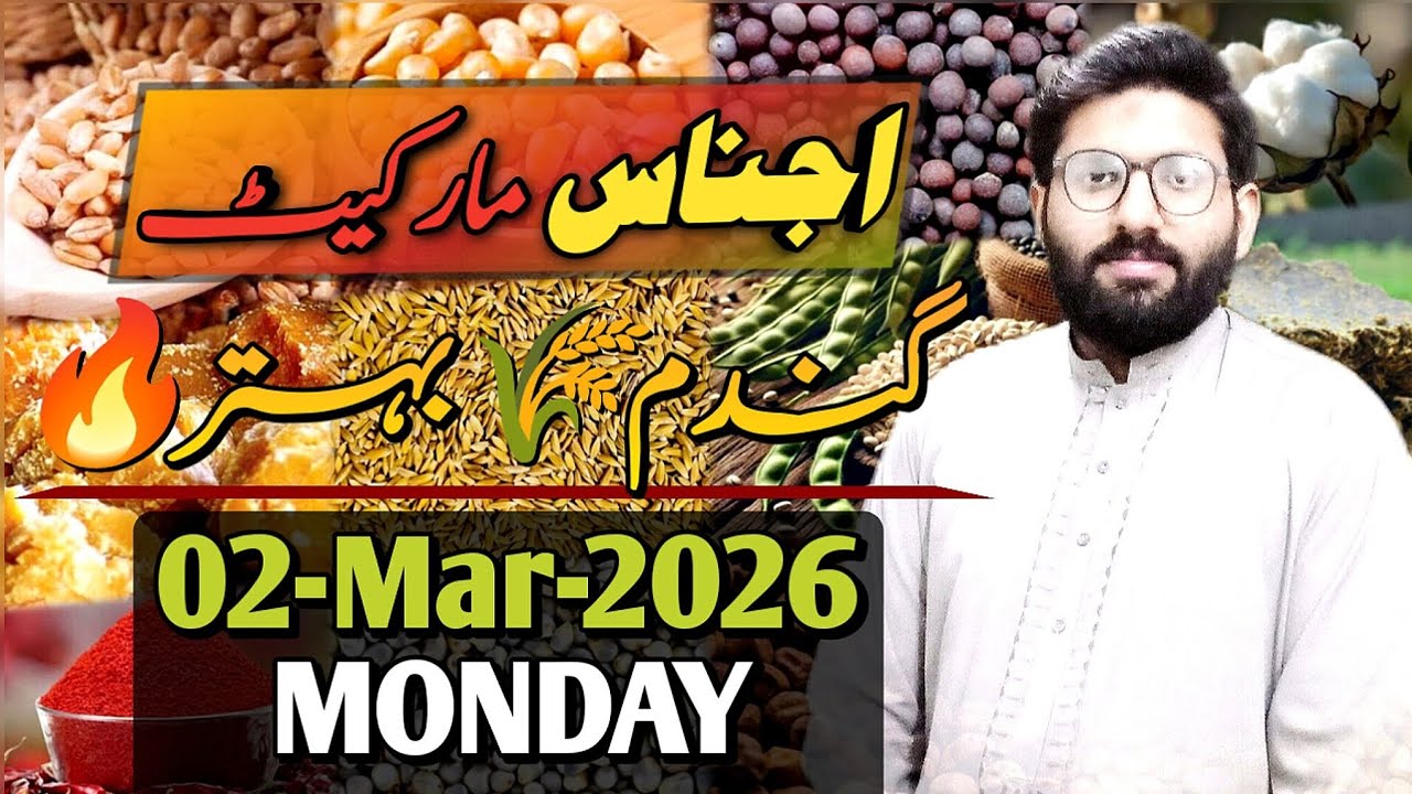 Ajnaas Market 📊 02-Mar-2026 | Gandum Tezz 🔥 #grain #gandummarket #bajra #makai 