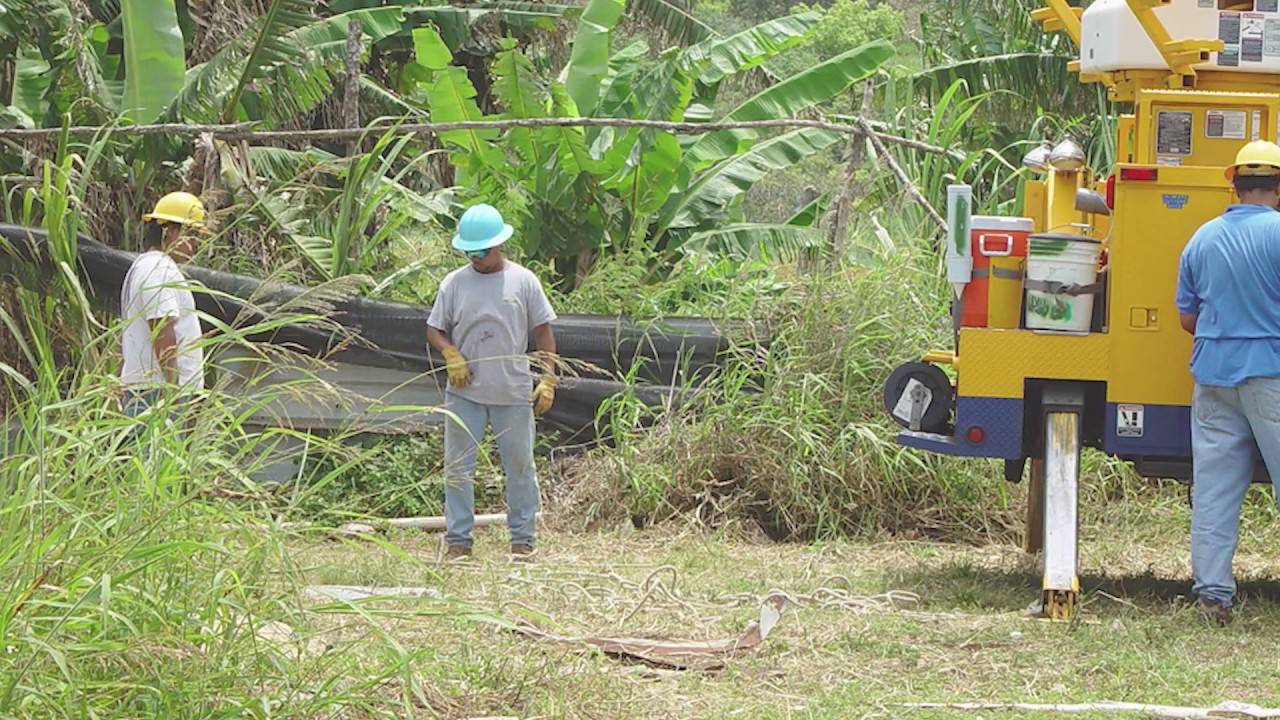 3M ACCR High Voltage Overhead Line Conductors - Corrosion Performance   Hawaii Field Test