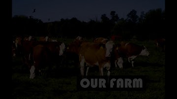 FASTESTProject number: 2015-1-IT01-KA202-004608