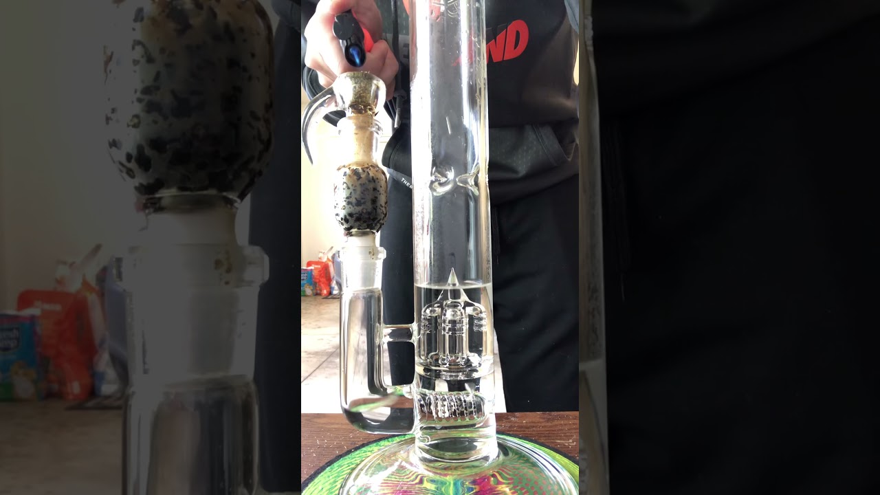 19 inch Sovereignty Glass 50x5 Jumbo Stemline to Inv4 w/ Hoss Carbon Filter Gorilla Glue Garage Rip!